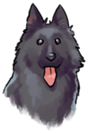 Dog stickers; Belgian Groenendael sticker #6430644