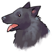 Dog stickers; Belgian Groenendael sticker #6430650