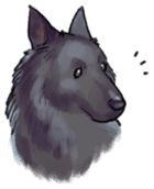 Dog stickers; Belgian Groenendael sticker #6430651