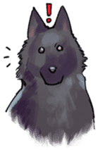 Dog stickers; Belgian Groenendael sticker #6430652