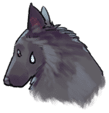 Dog stickers; Belgian Groenendael sticker #6430655