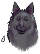 Dog stickers; Belgian Groenendael sticker #6430657