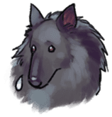 Dog stickers; Belgian Groenendael sticker #6430659