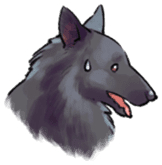 Dog stickers; Belgian Groenendael sticker #6430661