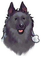 Dog stickers; Belgian Groenendael sticker #6430671