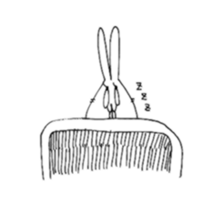 USAGI like human sticker #6432671