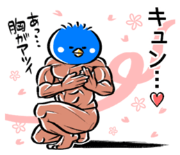 Muscle bird sticker #6435528