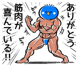 Muscle bird sticker #6435532