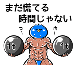 Muscle bird sticker #6435545