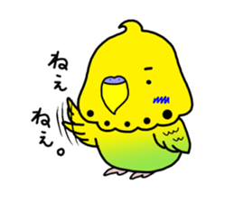 Parakeet's"HI.HU.MI" sticker #6437448