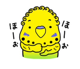 Parakeet's"HI.HU.MI" sticker #6437461