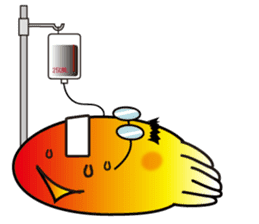 Republic Of Giant Squid-Our Daily Life sticker #6438664