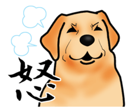 Luckey of the Labrador retriever sticker #6439121