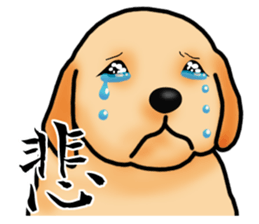 Luckey of the Labrador retriever sticker #6439122