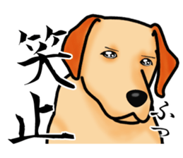 Luckey of the Labrador retriever sticker #6439132