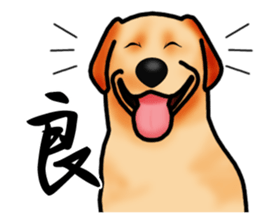 Luckey of the Labrador retriever sticker #6439136