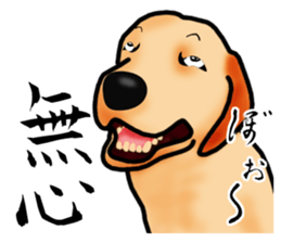 Luckey of the Labrador retriever sticker #6439146