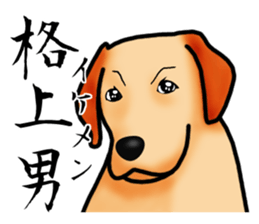 Luckey of the Labrador retriever sticker #6439148