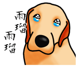 Luckey of the Labrador retriever sticker #6439149