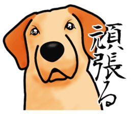 Luckey of the Labrador retriever sticker #6439156