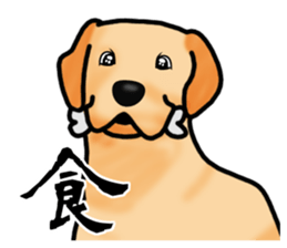 Luckey of the Labrador retriever sticker #6439158