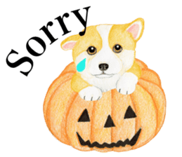 Happy Halloween Corgi Sticker (English) sticker #6439815