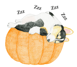Happy Halloween Corgi Sticker (English) sticker #6439835