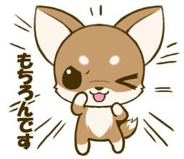 Chihuahuatan 4 sticker #6441924
