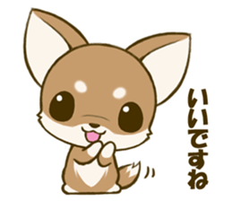 Chihuahuatan 4 sticker #6441925