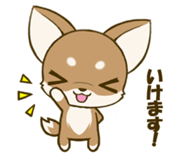 Chihuahuatan 4 sticker #6441926