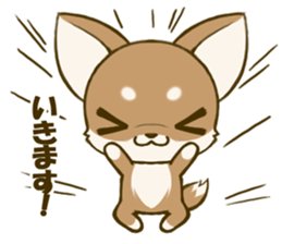 Chihuahuatan 4 sticker #6441927