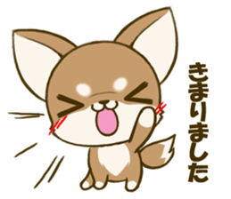 Chihuahuatan 4 sticker #6441930