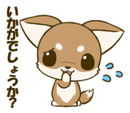 Chihuahuatan 4 sticker #6441932