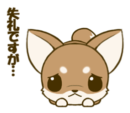 Chihuahuatan 4 sticker #6441934