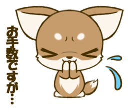 Chihuahuatan 4 sticker #6441935