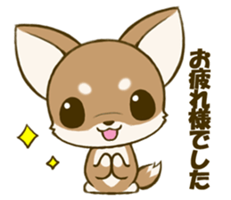 Chihuahuatan 4 sticker #6441936