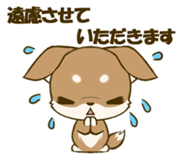 Chihuahuatan 4 sticker #6441937