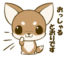 Chihuahuatan 4 sticker #6441938