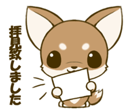 Chihuahuatan 4 sticker #6441941