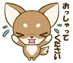 Chihuahuatan 4 sticker #6441943