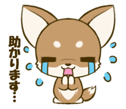 Chihuahuatan 4 sticker #6441945