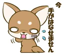 Chihuahuatan 4 sticker #6441946