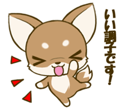 Chihuahuatan 4 sticker #6441947