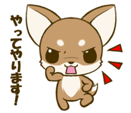 Chihuahuatan 4 sticker #6441950