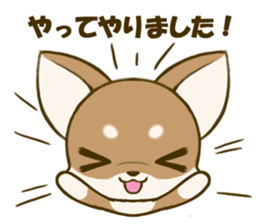 Chihuahuatan 4 sticker #6441951