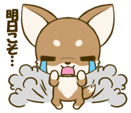 Chihuahuatan 4 sticker #6441954