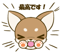 Chihuahuatan 4 sticker #6441955