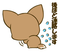 Chihuahuatan 4 sticker #6441957