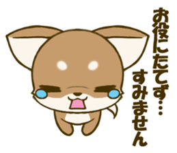 Chihuahuatan 4 sticker #6441958