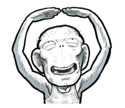 Kimo Premium sticker #6442161